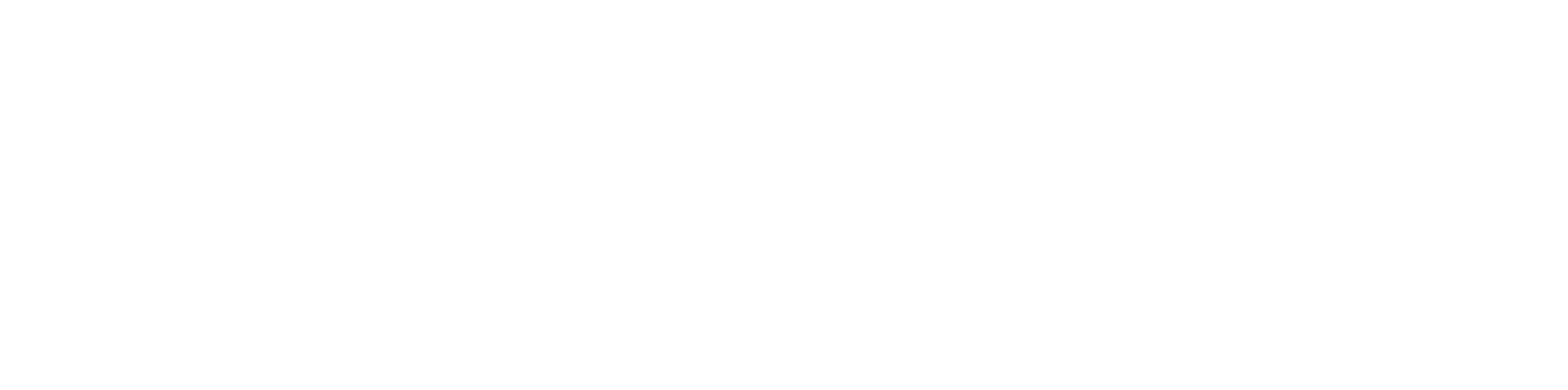 E-DOLLS logo
